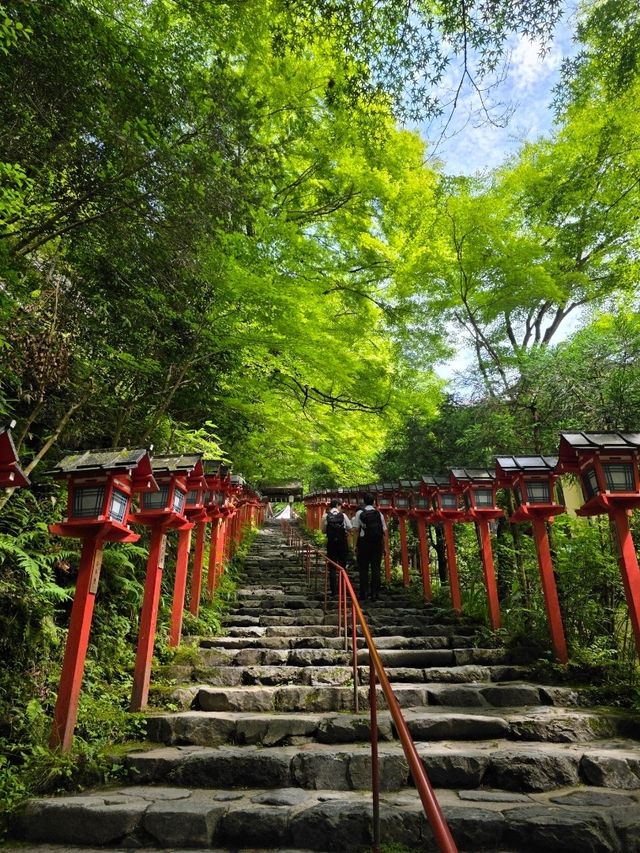 รีวิวปีนเขาคิฟุเนะ Kifune ในเกียวโต