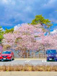 ทะเลสาบยามานากะ (Yamanaka Lake / 山中湖) ในวันที่มีหง