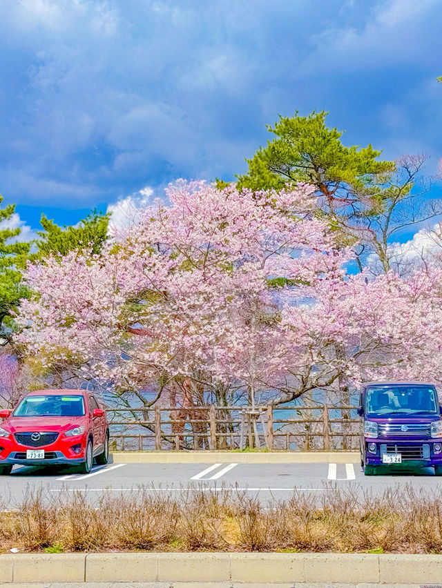 ทะเลสาบยามานากะ (Yamanaka Lake / 山中湖) ในวันที่มีหง