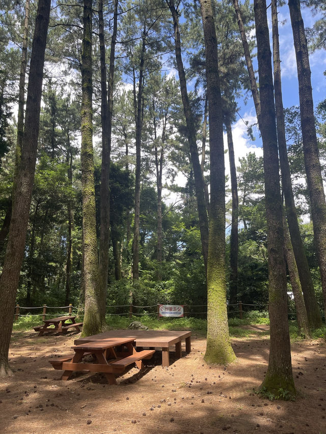 Jeju trip