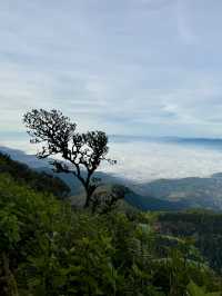 Kew Mae Pan, Chiang Mai: A Trail Through Heaven’s Edge 🚶‍➡️🚶‍♀️‍➡️