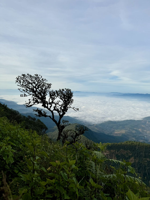 Kew Mae Pan, Chiang Mai: A Trail Through Heaven’s Edge 🚶‍➡️🚶‍♀️‍➡️