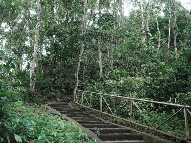 🌿 Lombok Waterfalls: Hike the Wild, See the Beautiful! 💦