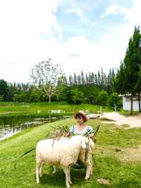 Bucolic Khaoyai