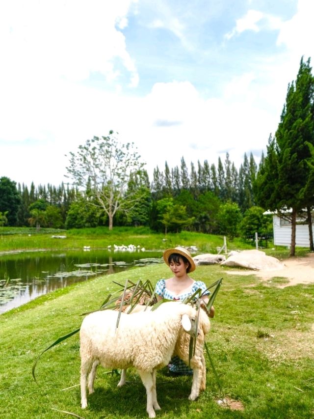 Bucolic Khaoyai