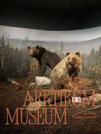 ❄️ Arktikum Museum—A Window into the Arctic World