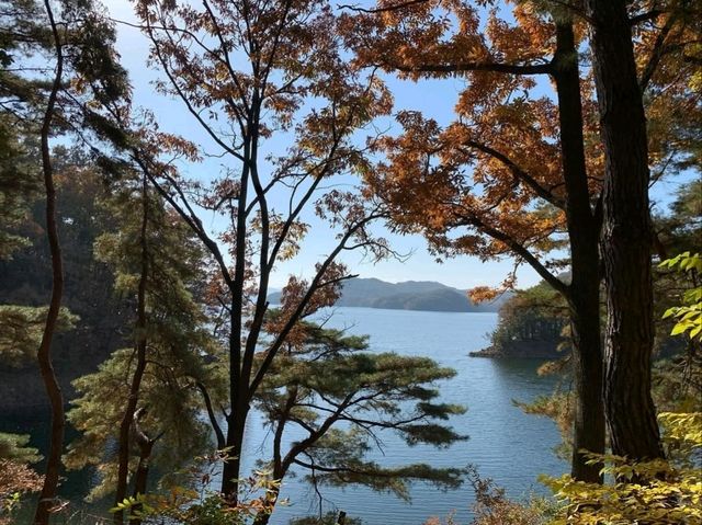 Nature & Nostalgia
