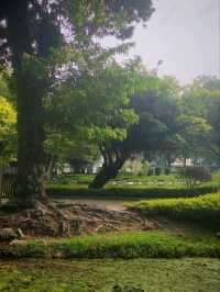 🌸 Discover Tranquility at Taman Jepun , Ipoh 🌸