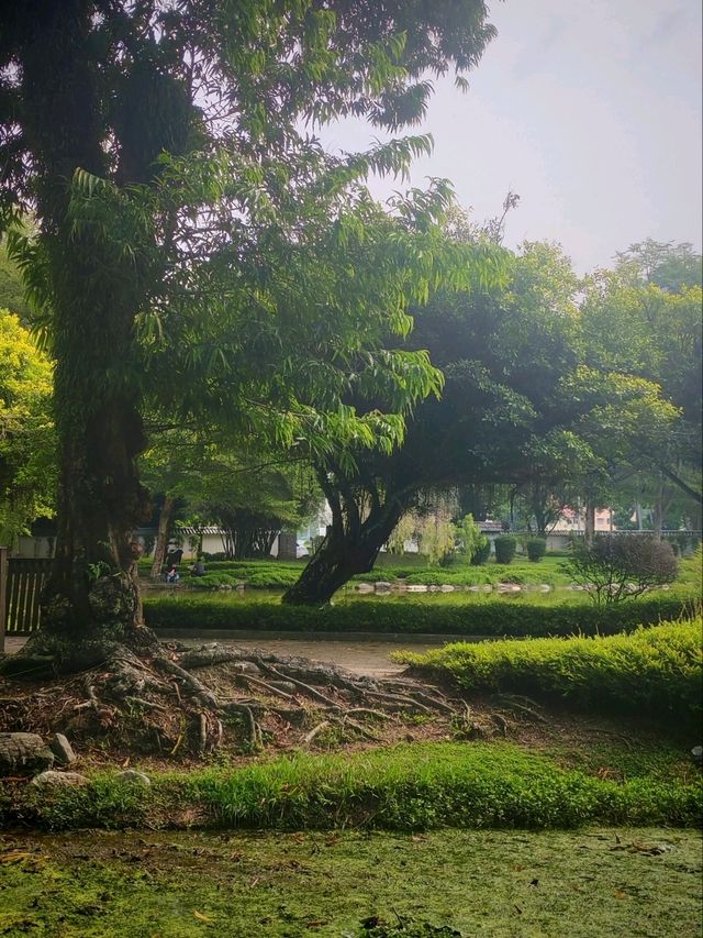 🌸 Discover Tranquility at Taman Jepun , Ipoh 🌸
