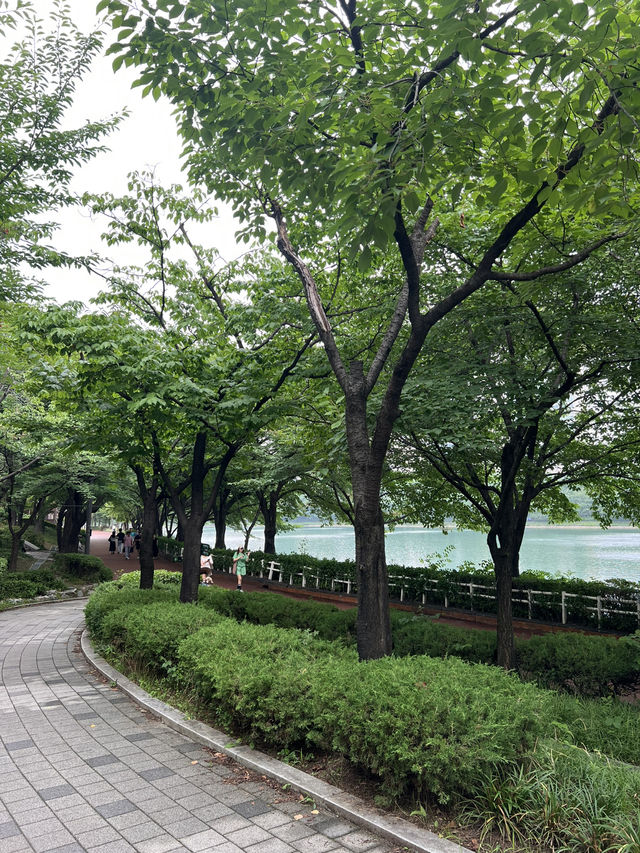 잠실 거리 여행