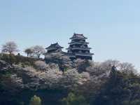 【大洲城】復元された天守でタイムトラベル気分🏯🌿