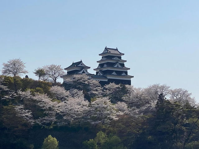 【大洲城】復元された天守でタイムトラベル気分🏯🌿