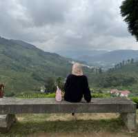 unique experience in a tea plantation & less crowd too!