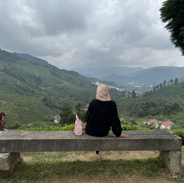 unique experience in a tea plantation & less crowd too!