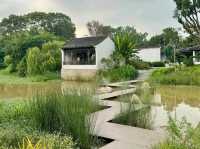 Jurong Lake Gardens (Free & tranquil)