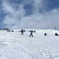 【新潟/魚沼🇯🇵】冬が待ち遠しい☃❄舞子スノーリゾート