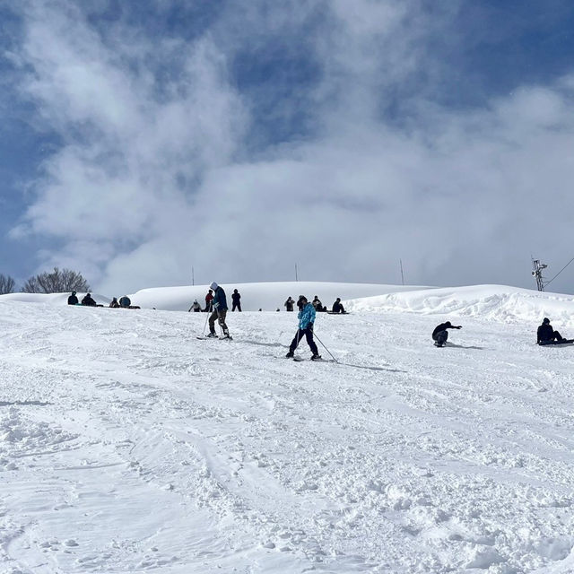 【新潟/魚沼🇯🇵】冬が待ち遠しい☃❄舞子スノーリゾート