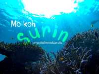 #หมู่เกาะสุรินทร์