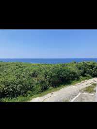 【恋の島へドライブ】絶景と神話が息づく「古宇利島」