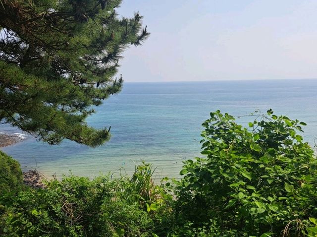 제주 3박4일 추천여행