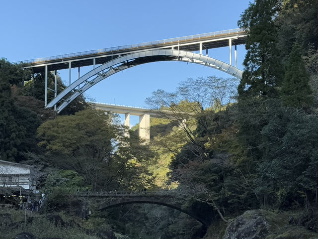 미야자키 2박 3일 일정 공유 🇯🇵