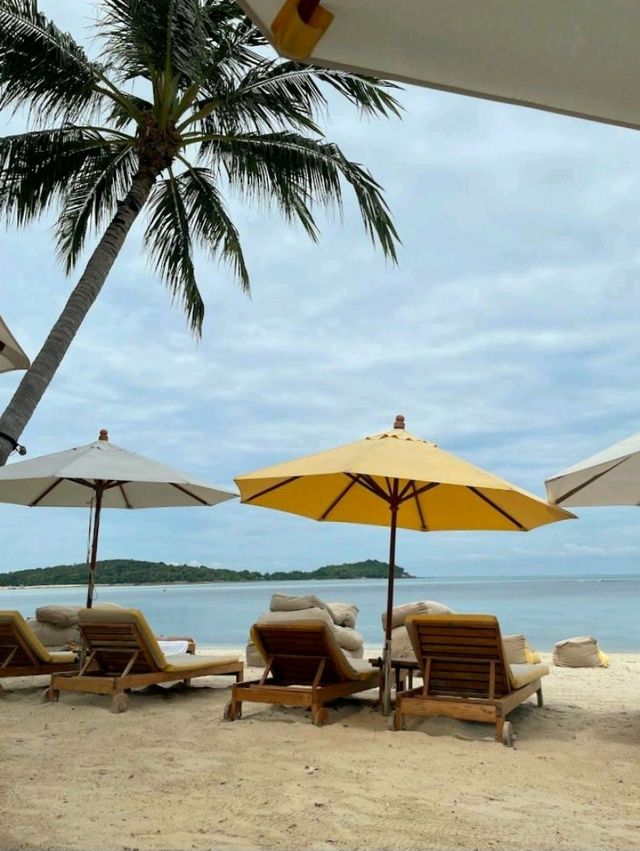 Sala Samui Chaweng Beach Resort