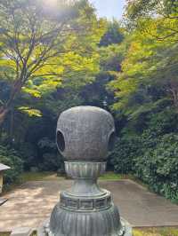 ⛩️綠色名古屋大佛【桃巖寺-下篇】