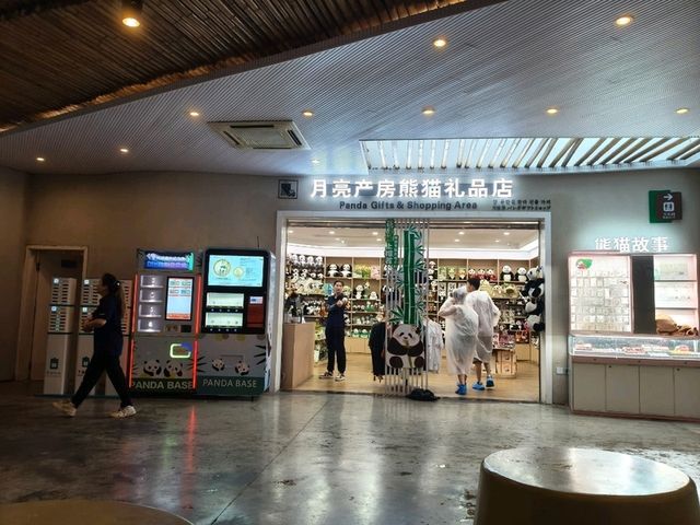 🎋【成都｜大熊貓基地】🐼 熊貓控的天堂 × 私人導覽超值推薦 × 捐款還送限量熊貓娃娃！