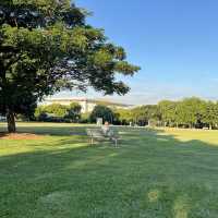🌴 Darwin City Walk – Australia’s Laid-back Tropical Gem 🇦🇺