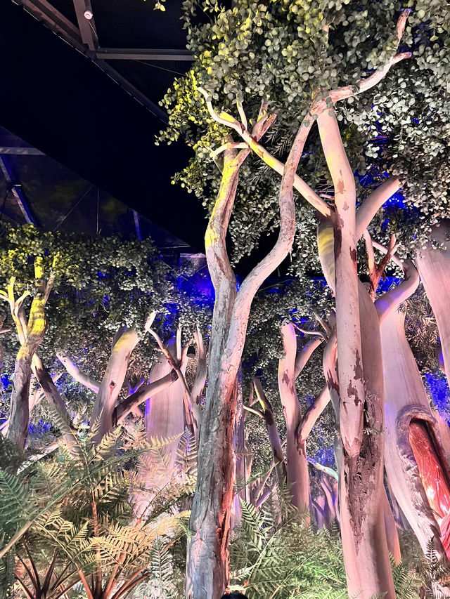 🌏【澳洲館｜在藍色星球上的一場沉浸式旅程】🐨🌿