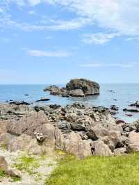 Ocean & Meadows Unbound: A Summer Walk Along Tanesashi Coast