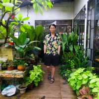 Fifty Trees Café: A Lush Garden-Themed Brunch Spot in Johor Bahru’s Taman Melodies