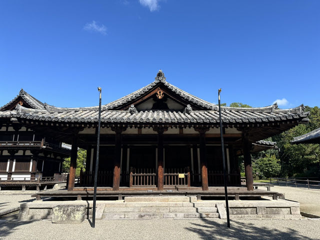 唐招提寺：探索奈良的佛教瑰寶，感受千年文化的深厚底蘊！