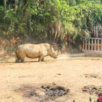 ～南平九峰動物園是～可愛動物園～