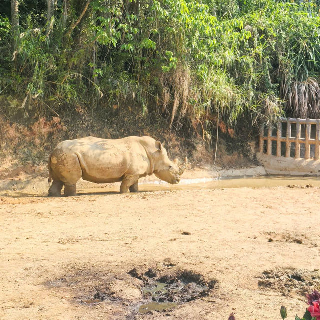 ～南平九峰動物園是～可愛動物園～