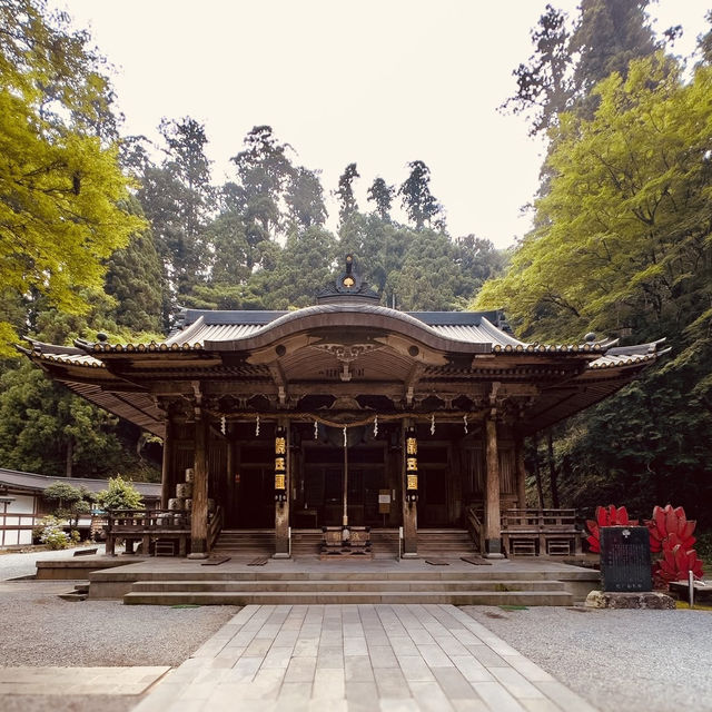 🌊 Solo Zen Escape: Hase-dera Temple in Kamakura