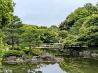 名古屋 | 白鳥庭園，是東海地區規模最大的都市庭園
