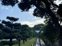 🌸 Nishinomaru Garden