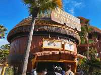 Barrel Roll Through Donkey Kong Country!