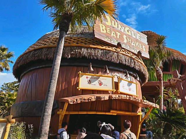 Barrel Roll Through Donkey Kong Country!