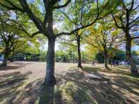 漫步大仙公園：大阪堺市綠意與文化的共鳴地