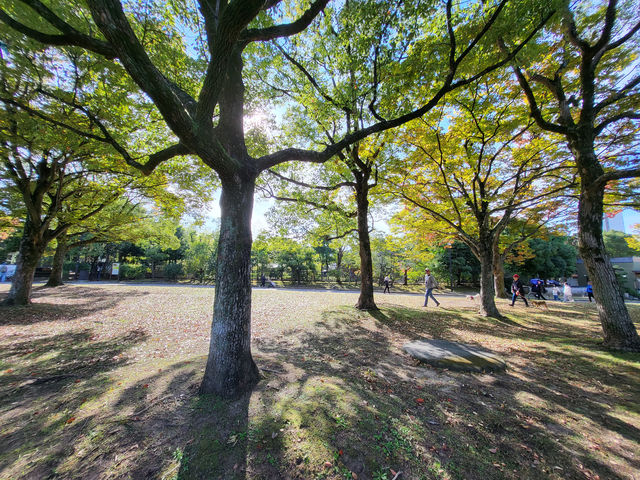 漫步大仙公園：大阪堺市綠意與文化的共鳴地