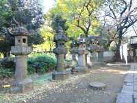 An assembly of Stones, the Stone lanterns of Ueno Toshogu Shrine