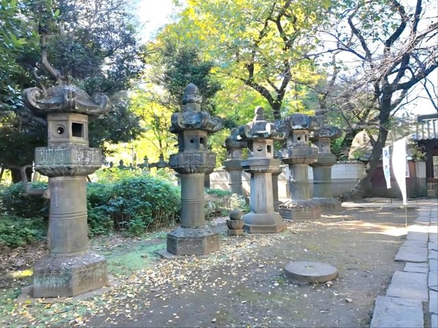 An assembly of Stones, the Stone lanterns of Ueno Toshogu Shrine
