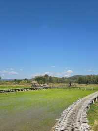บ้านนาต้นจั่น: เสน่ห์ชนบทกลางหุบเขา