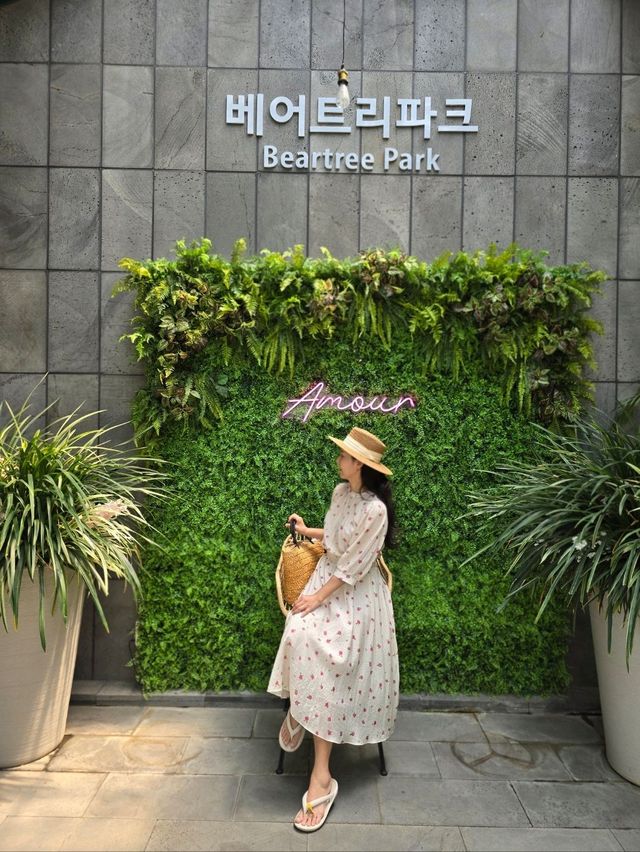 초록 싱그러움 가득한 세종 테마파크💚