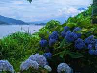  Reflections of Fuji: A Gentle Escape to Lake Kawaguchiko