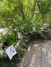 Spice Trails: A Journey Through Penang’s Botanical Wonderland