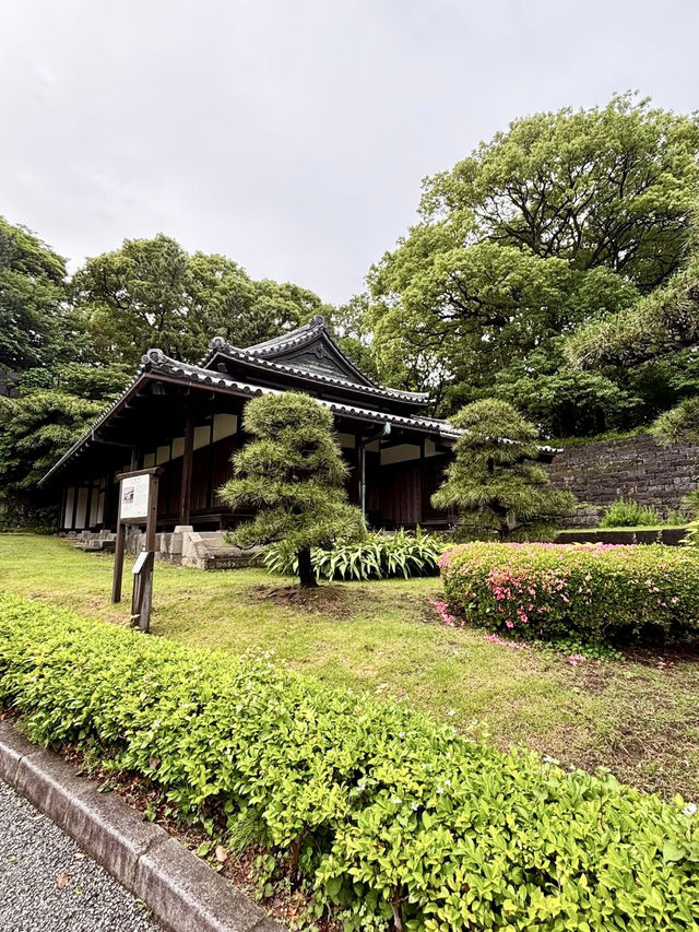 Tokyo Imperial Palace: Where Serenity Meets Majesty