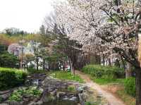 Namsangol Hanok Village: Seoul’s Cultural Hideaway Among the Hills